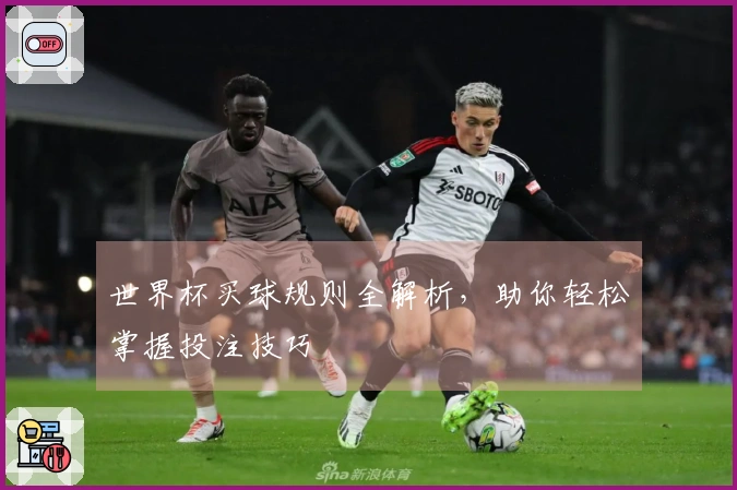 世界杯买球规则全解析，助你轻松掌握投注技巧