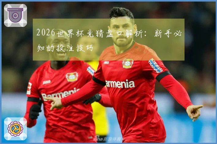 2026世界杯竞猜盘口解析：新手必知的投注技巧