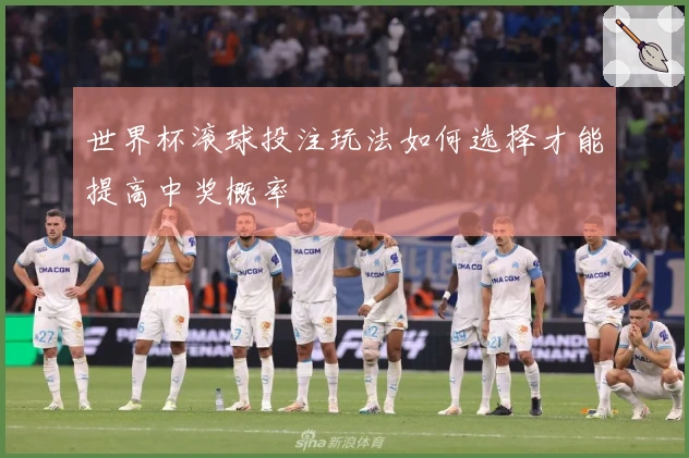 世界杯滚球投注玩法如何选择才能提高中奖概率