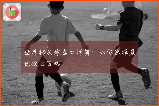 世界杯买球盘口详解：如何选择最优投注策略