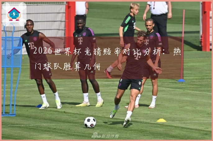 2026世界杯竞猜赔率对比分析：热门球队胜算几何