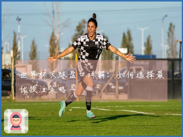 世界杯买球盘口详解：如何选择最优投注策略