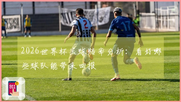 2026世界杯买球赔率分析：看好哪些球队能带来回报