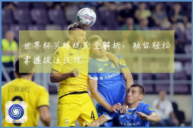 世界杯买球规则全解析，助你轻松掌握投注技巧